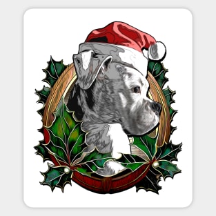 White Boxer in a Santa Hat Sticker